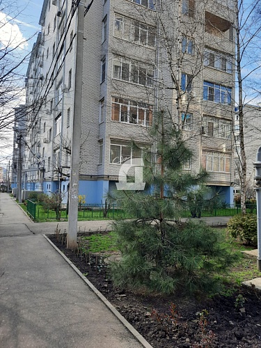 3-комнатная квартира (105 кв.м.)