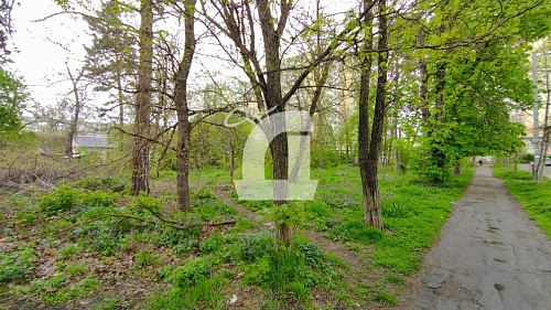 Земельный участок (21 сот.)