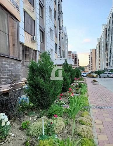 3-комнатная квартира (73 кв.м.)