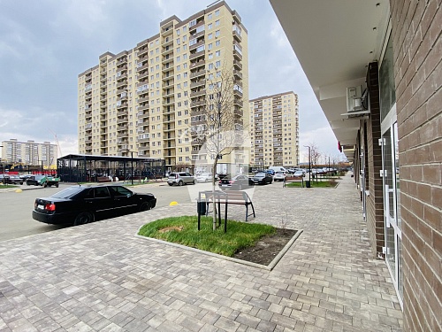  (31.3 кв.м.)