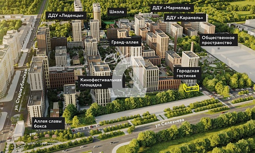  (151.3 кв.м.)