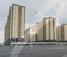 2-комнатная квартира (55 кв.м.)