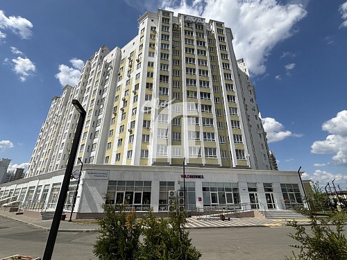  (239 кв.м.)