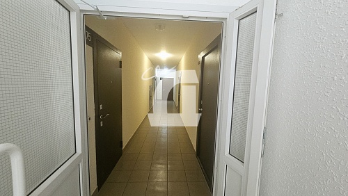 Студия (20 кв.м.)