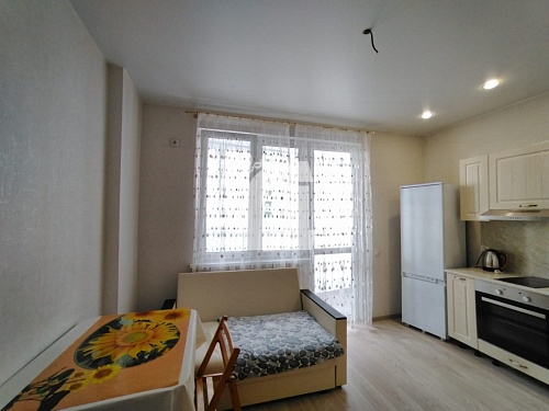 1-комнатная квартира (42 кв.м.)