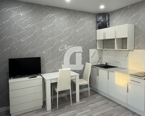 Студия (23.86 кв.м.)