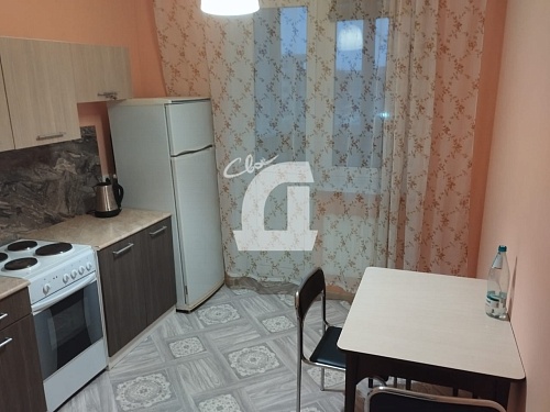 1-комнатная квартира (29.3 кв.м.)