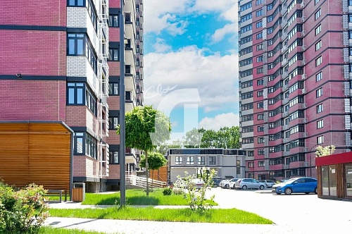 1-комнатная квартира (36.8 кв.м.)