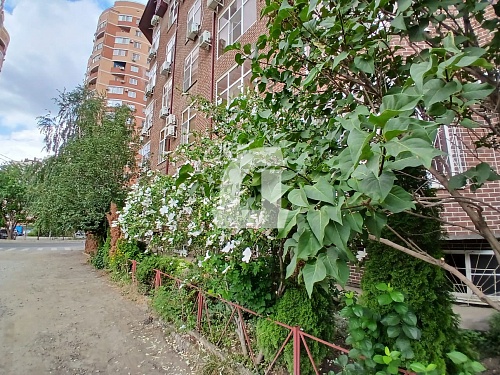 Студия (31 кв.м.)