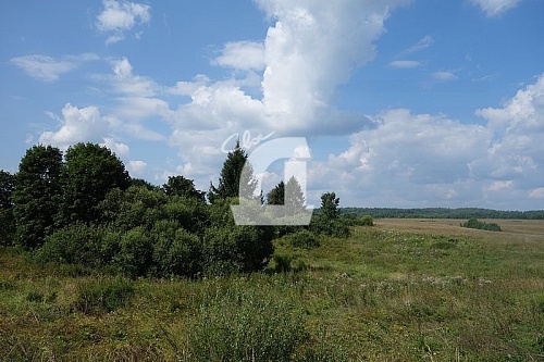 Земельный участок (780 сот.)